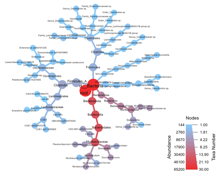 物種階層熱樹圖以節點、枝條以及顏色來標示各分類階層之豐度